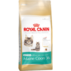 ROYAL CANIN Growth Kitten Main Coon 4 kg